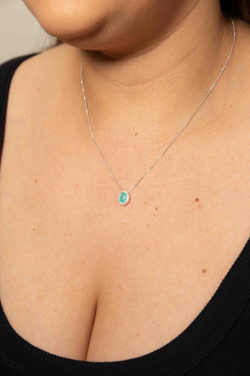 WhatsApp Image 2024-10-30 at 15.37.56 (1)