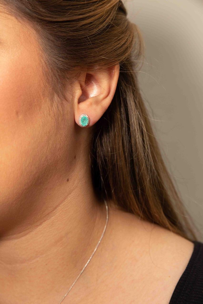 WhatsApp Image 2024-10-30 at 15.37.56